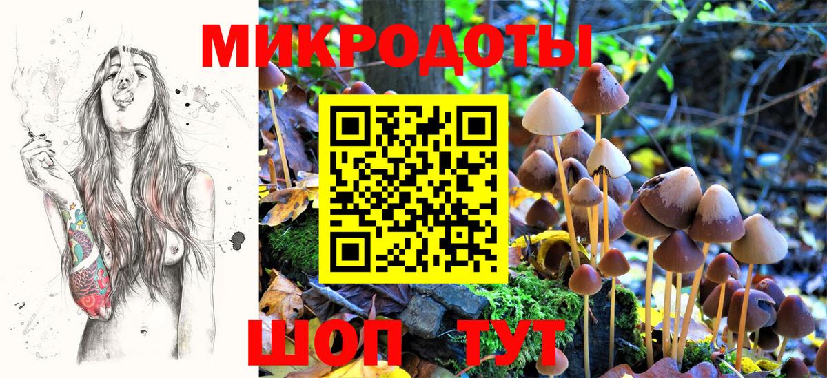 Костомукша  даркнет сайт  Вход с VPN  Галлюциногенные грибы Psilocybe 